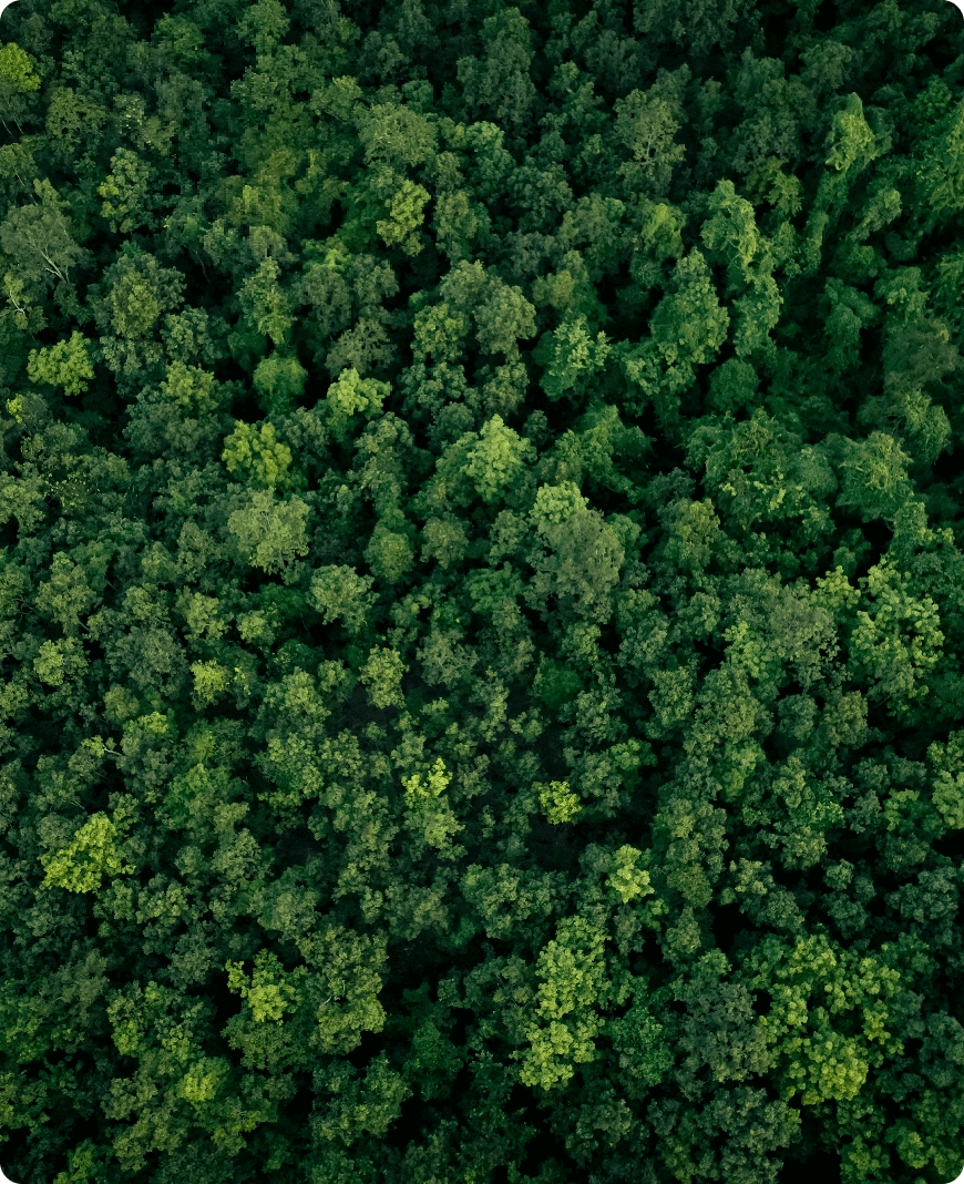 Environmental